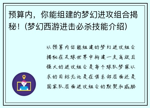 预算内，你能组建的梦幻进攻组合揭秘！(梦幻西游进击必杀技能介绍)