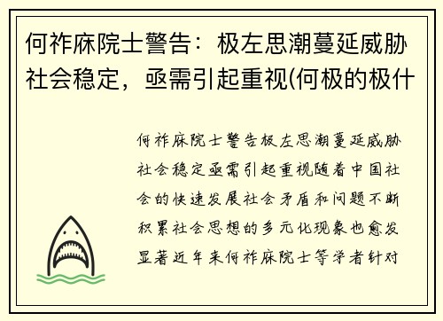 何祚庥院士警告：极左思潮蔓延威胁社会稳定，亟需引起重视(何极的极什么意思)