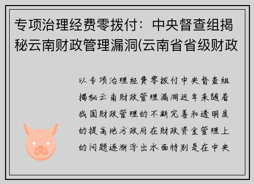 专项治理经费零拨付：中央督查组揭秘云南财政管理漏洞(云南省省级财政专项资金管理办法)
