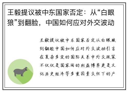 王毅提议被中东国家否定：从“白眼狼”到翻脸，中国如何应对外交波动