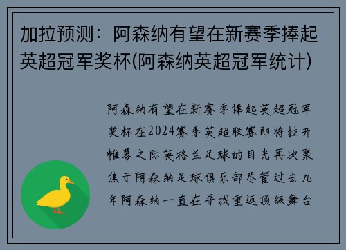 加拉预测：阿森纳有望在新赛季捧起英超冠军奖杯(阿森纳英超冠军统计)